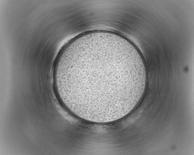 X0000089860987200707262124