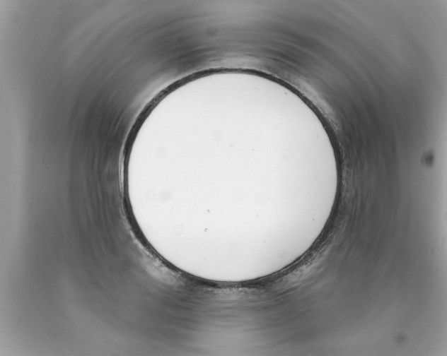 X0000089860988200707262124