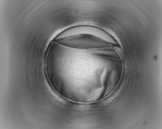 X0000089860989200707262124