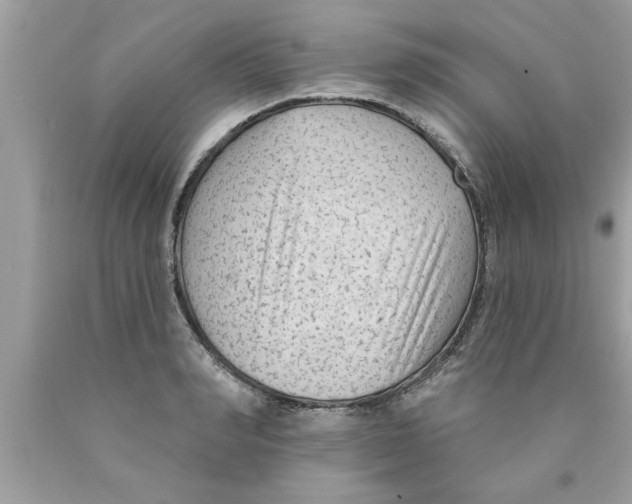X0000089860990200707262124