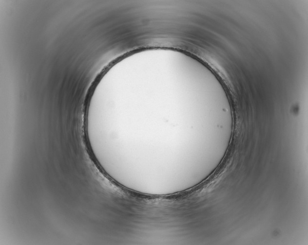 X0000089860992200707262124