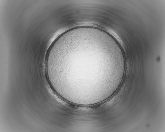 X0000089860994200707262124