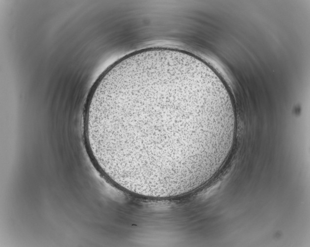 X0000089860999200707262124