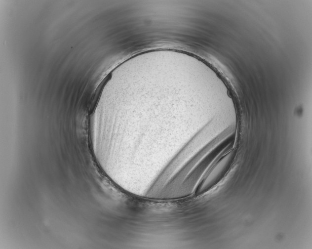 X0000089861001200707262124