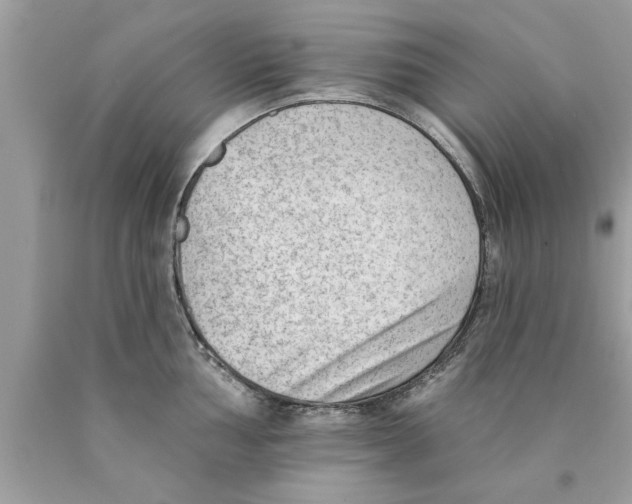 X0000089861002200707262124