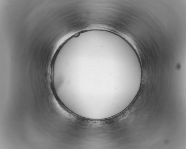 X0000089861003200707262124