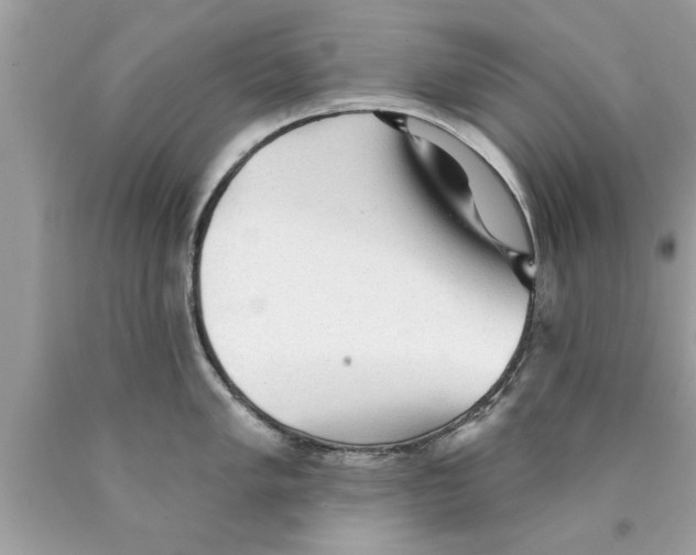 X0000089861005200707262124