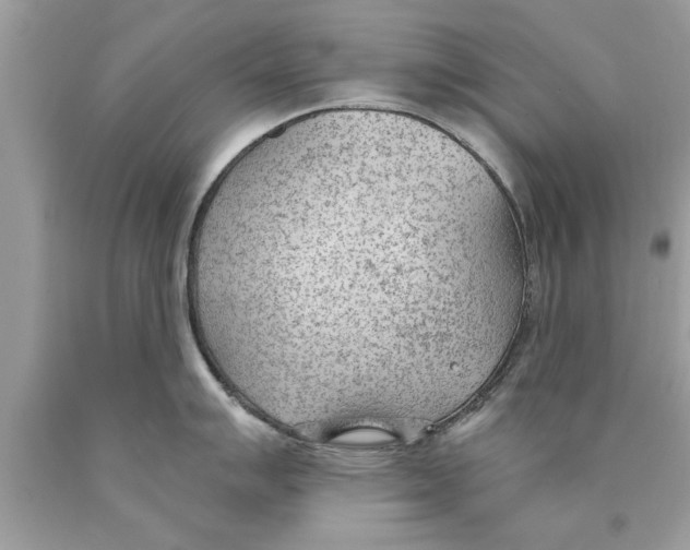 X0000089861007200707262124