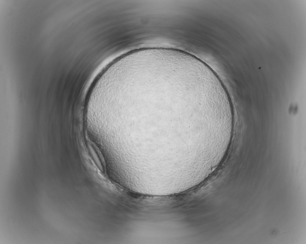 X0000089861008200707262124