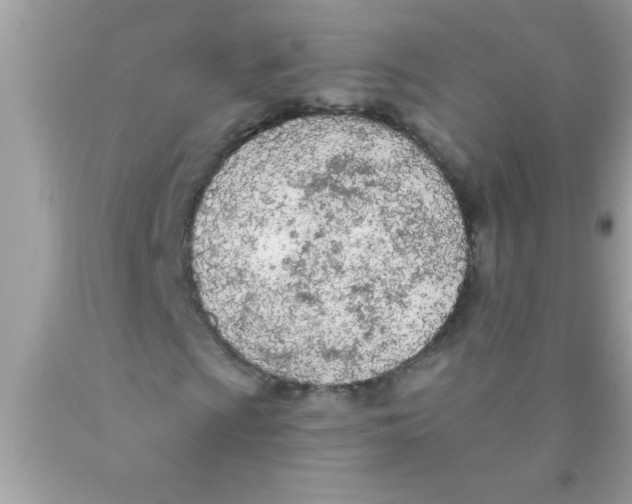 X0000089861009200707262123