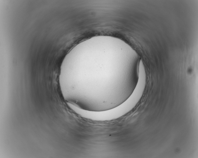 X0000089861010200707262123