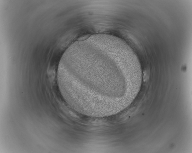 X0000089861011200707262123