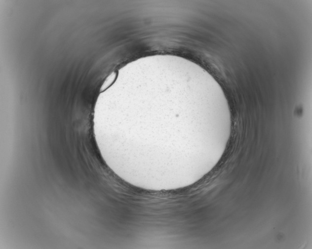 X0000089861012200707262123