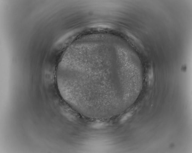 X0000089861014200707262123