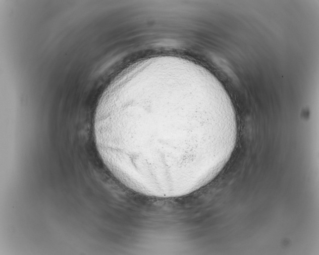 X0000089861015200707262123