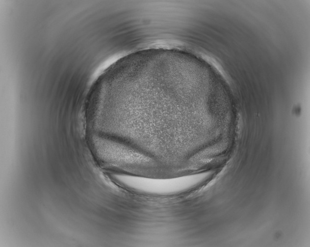X0000089861018200707262123