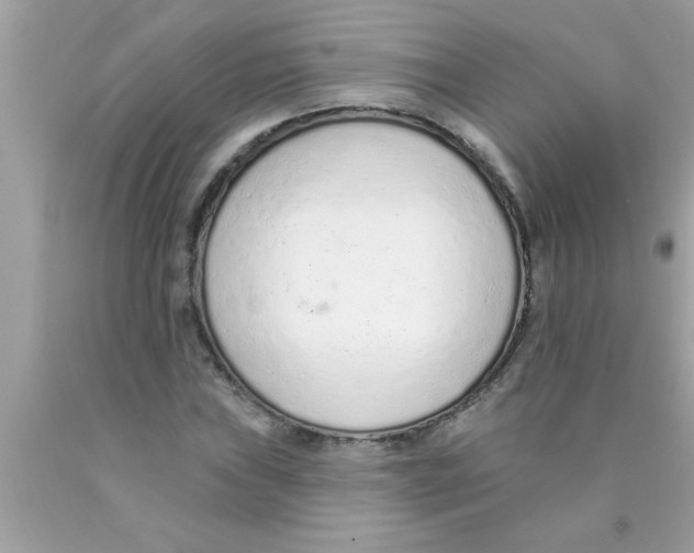 X0000089861019200707262123