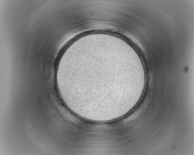 X0000089861021200707262123