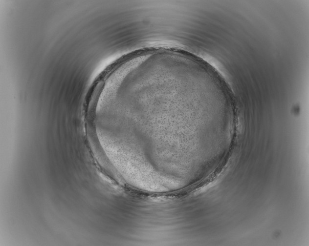 X0000089861022200707262123