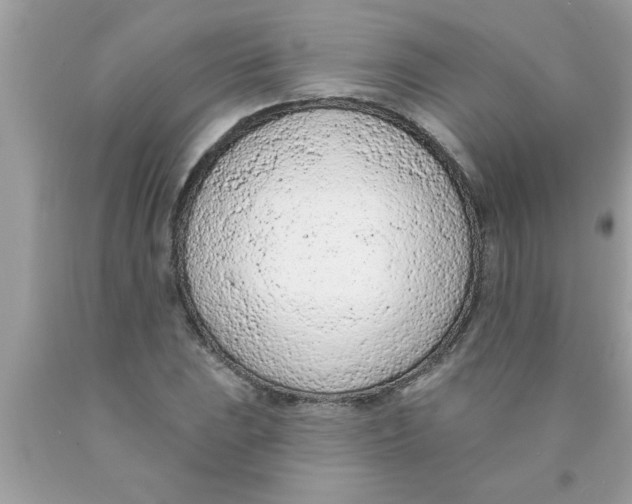 X0000089861023200707262123
