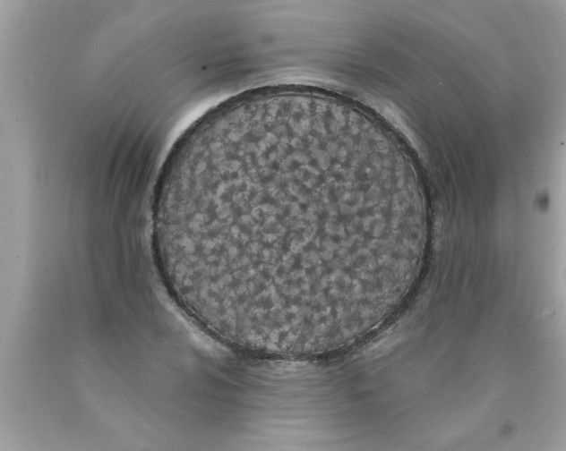 X0000089861024200707262123