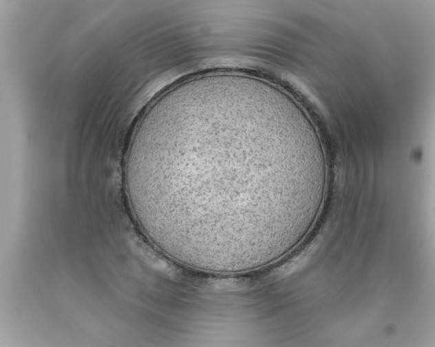 X0000089861025200707262123