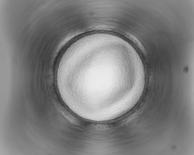 X0000089861027200707262123