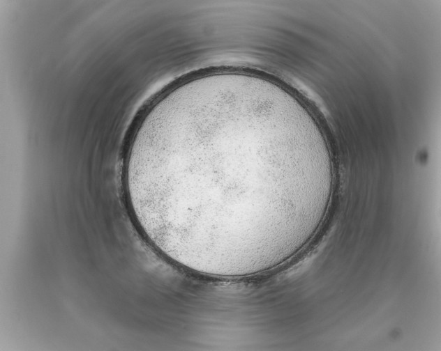 X0000089861029200707262123