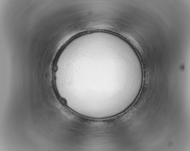 X0000089861031200707262123