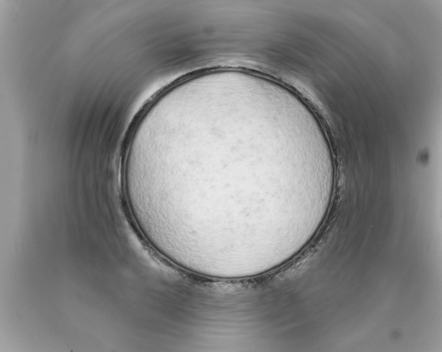 X0000089861032200707262123