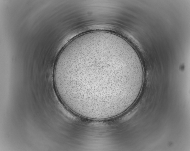 X0000089861033200707262123