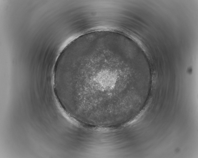 X0000089861034200707262123