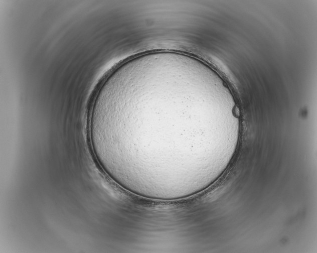 X0000089861035200707262123