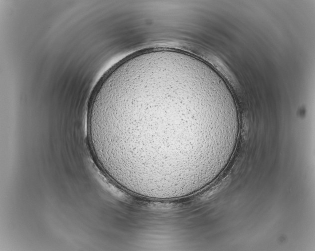 X0000089861036200707262123