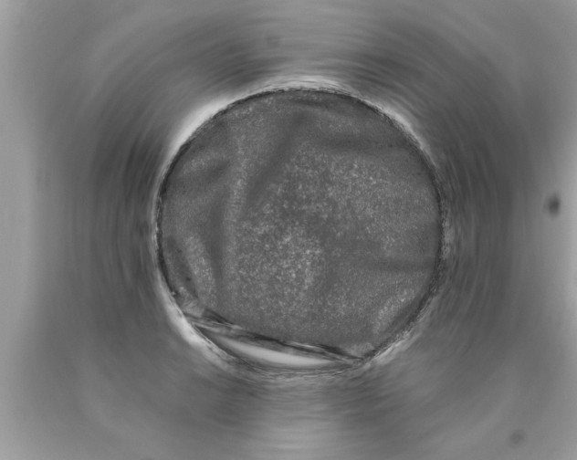 X0000089861038200707262123