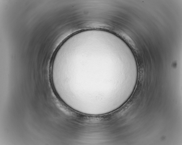 X0000089861039200707262123
