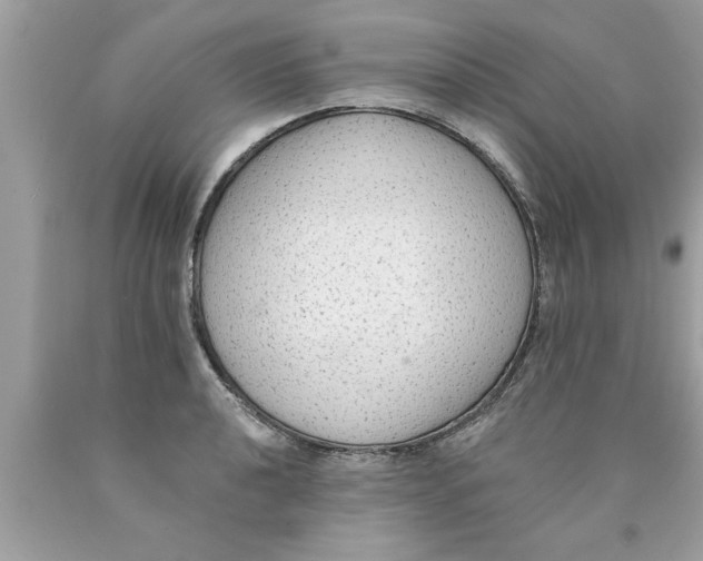 X0000089861040200707262123