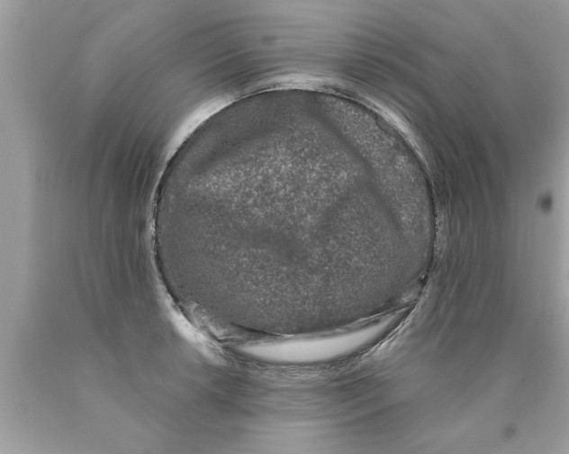 X0000089861042200707262123