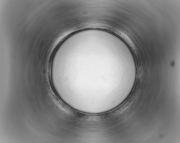 X0000089861043200707262123