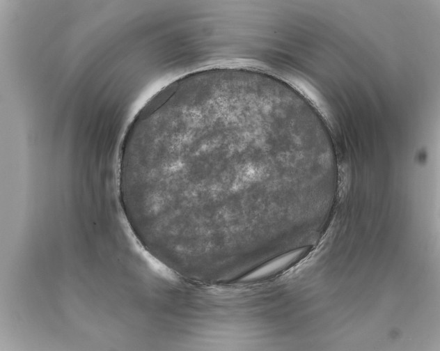 X0000089861046200707262123
