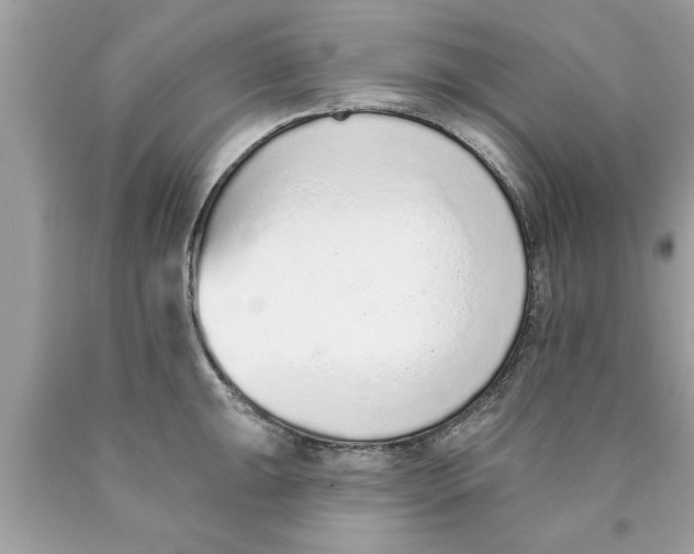 X0000089861047200707262123
