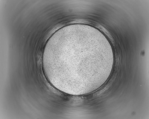X0000089861049200707262124