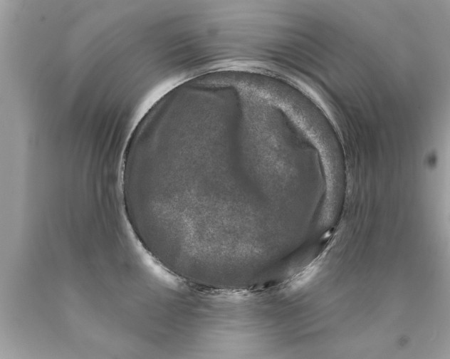 X0000089861050200707262124