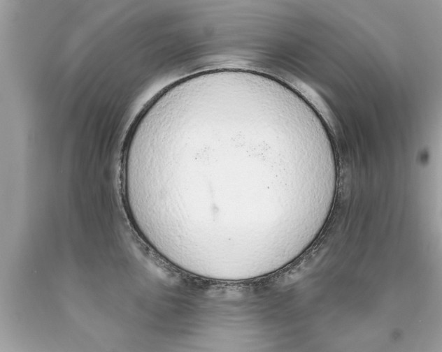 X0000089861051200707262124