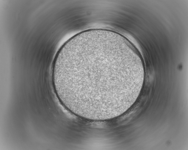 X0000089861053200707262124