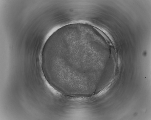 X0000089861054200707262124