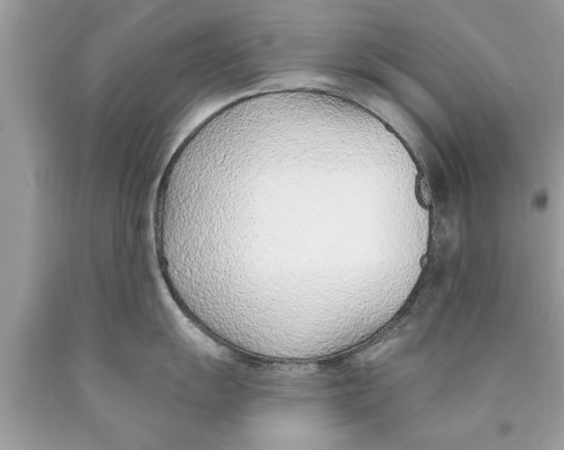 X0000089861055200707262124