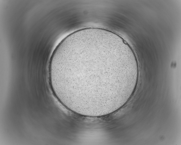 X0000089861056200707262124