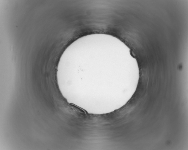 X0000089861057200707262123