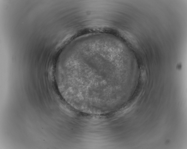 X0000089861060200707262123
